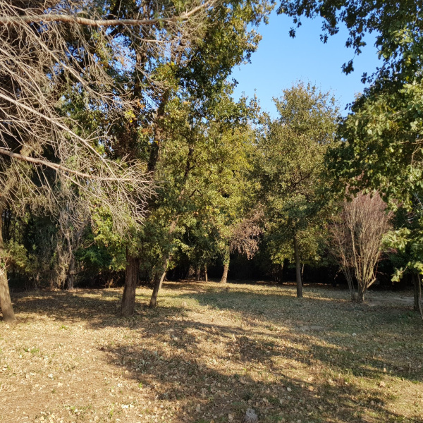 Offres de vente Terrain Argelès-sur-Mer 66700